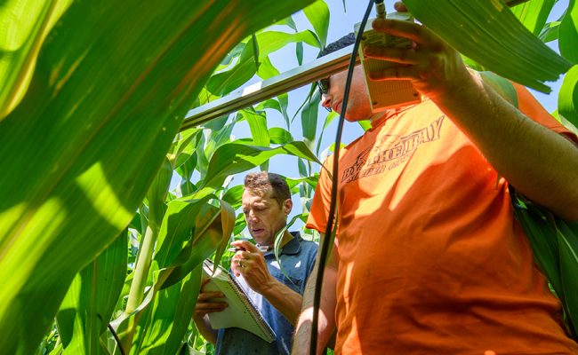 学生和教师在玉米地里使用GIS设备