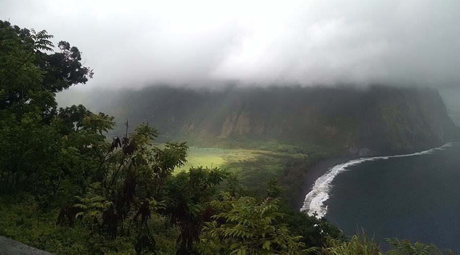 夏威夷山上的薄雾
