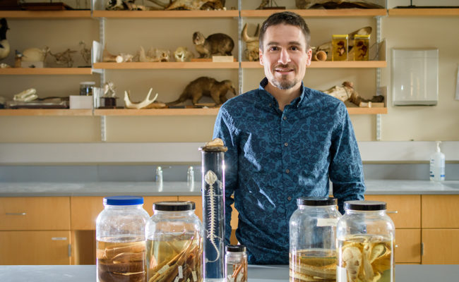 菲利普·伯格曼教授在实验室研究爬行动物的骨骼