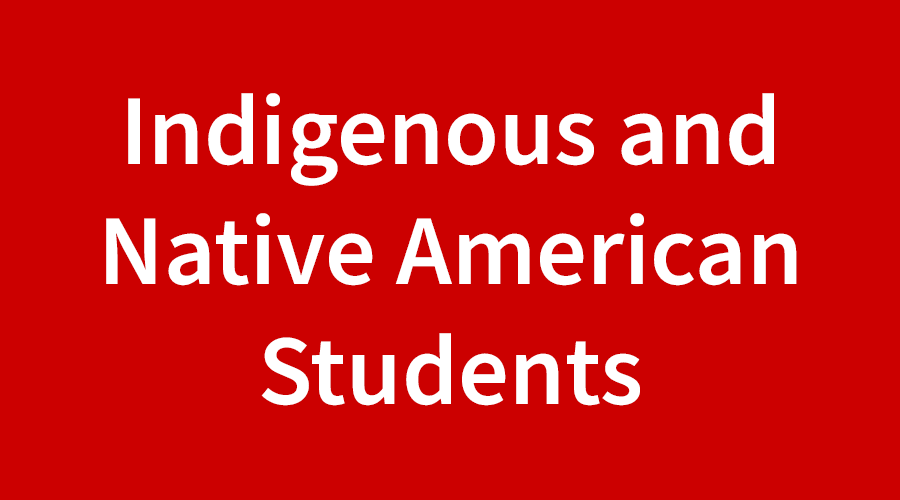 Indigenous and Native American Students