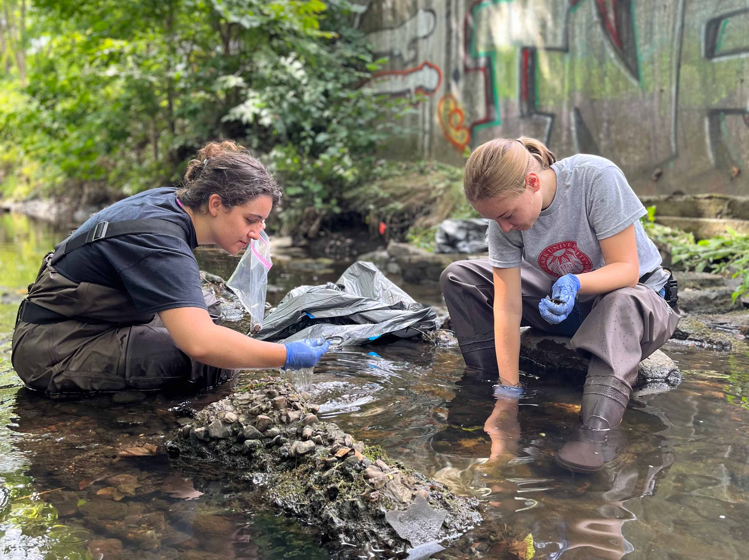 Two students volunteering on an environmental clean-up project at Beaver Brook