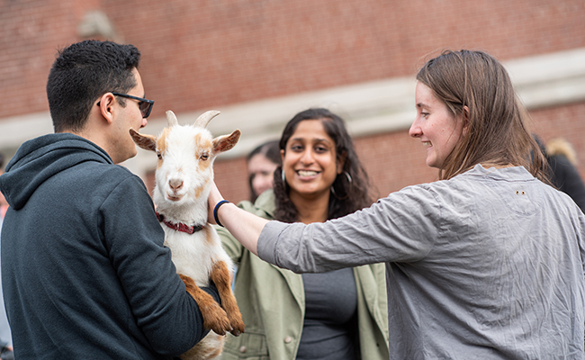 students patting goat