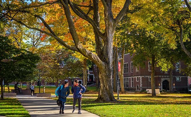 秋天的树叶和学生走在小路上