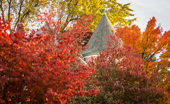 校友 House with fall foliage