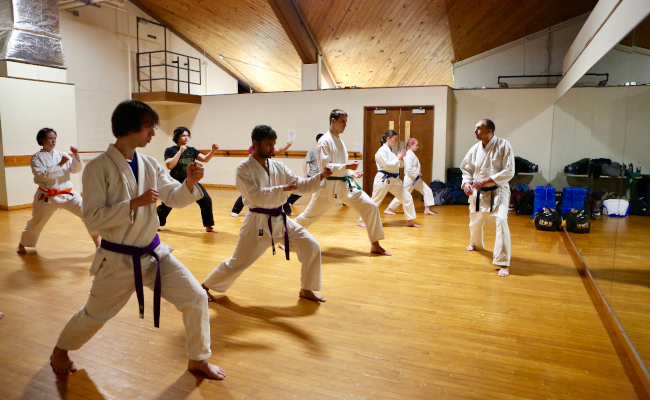 Young adults practicing karate