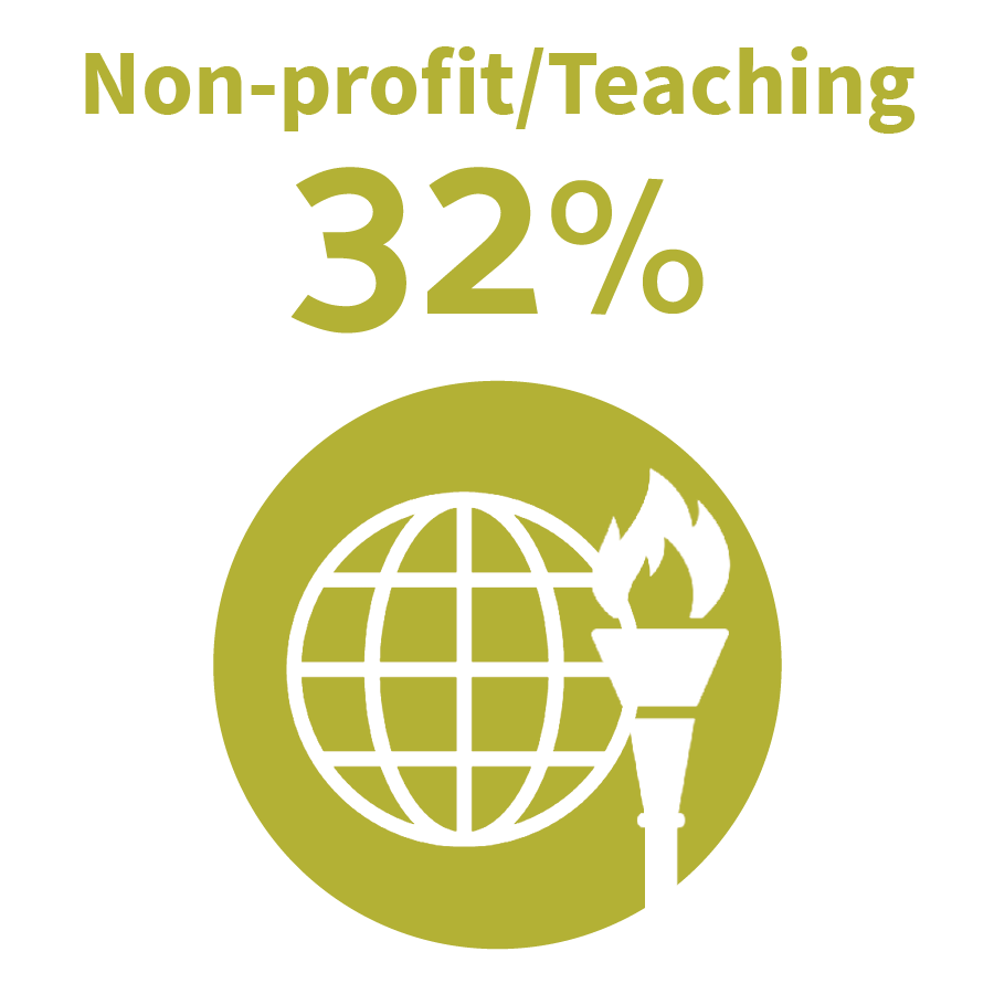 graphic image - non-profit teaching 32%
