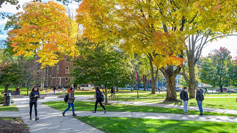 students walking down path of fall trees
