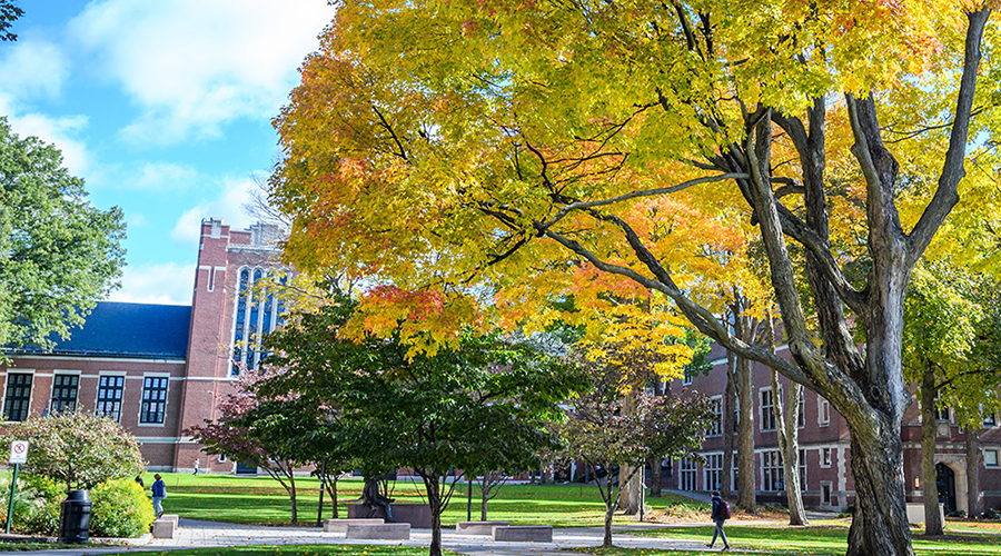view of fall coloed tree with geography building