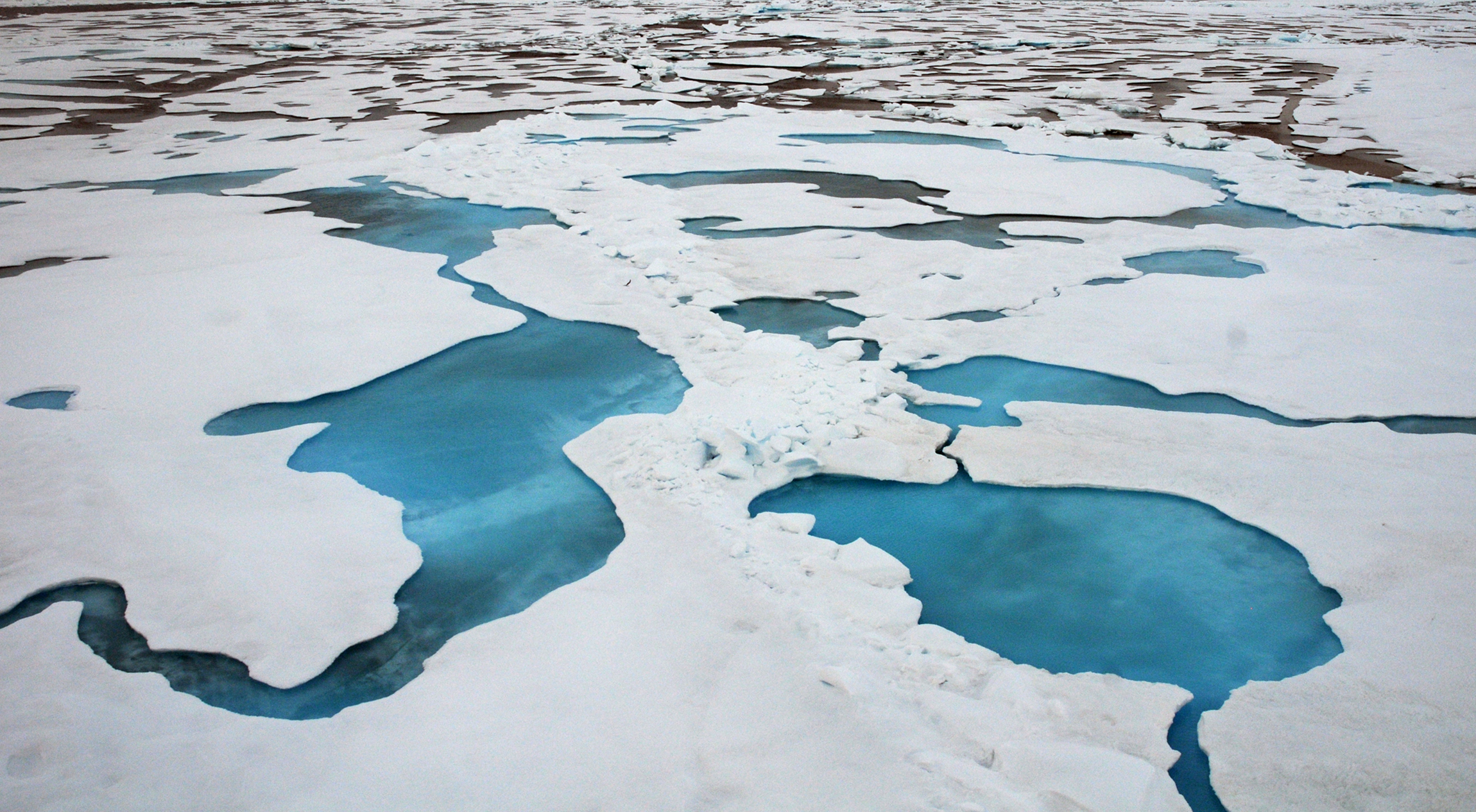 冰在北极融化