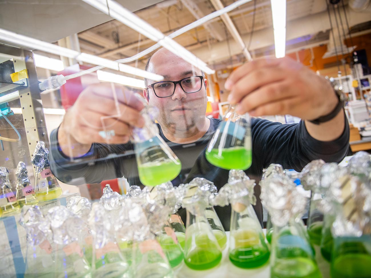 A researcher examining water samples for a cyanobacteria research grant