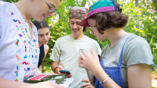 students work in forest