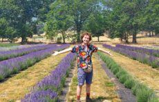 student in field of lavender