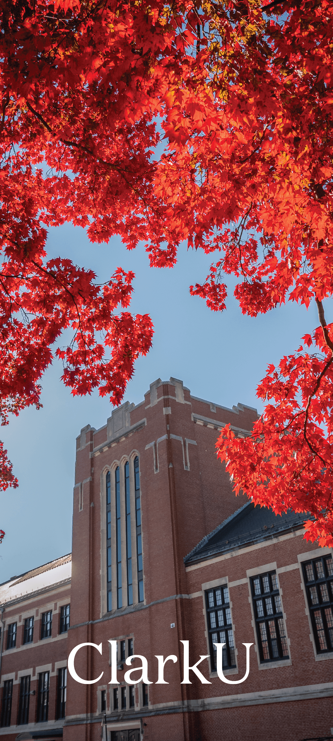 Geography building with fall leaves iphone wallpaper