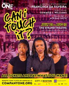 "can i touch it" play poster