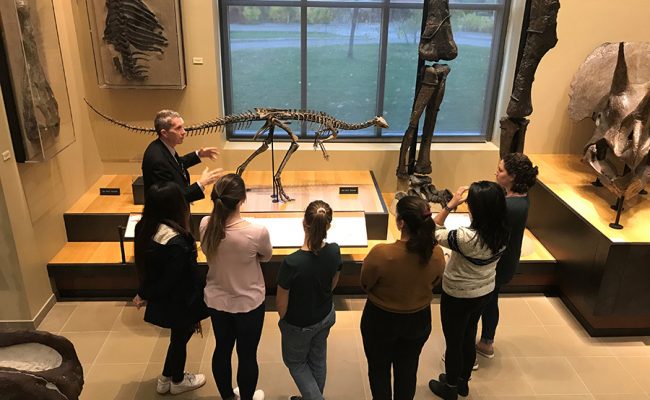 students looking over dinosaur museum exhibition