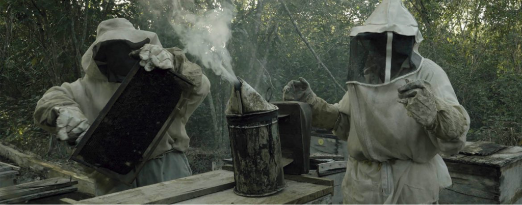 Bee Keepers smoking out bees
