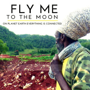 Fly me to the moon poster
