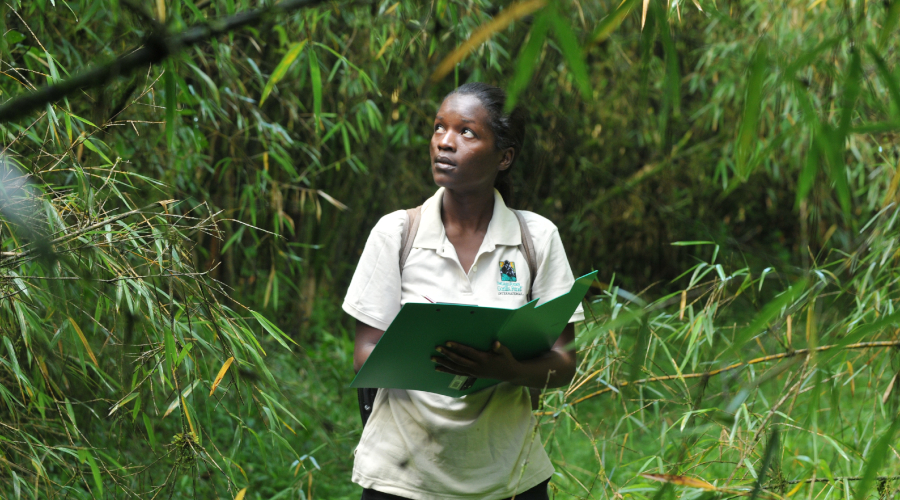 Student with notepad in rainforest setting