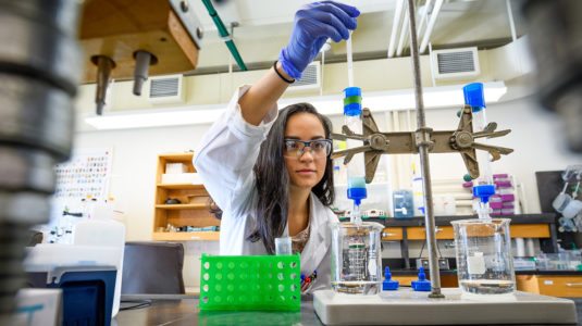 Diana Argiles Castillo works in the biochemistry lab