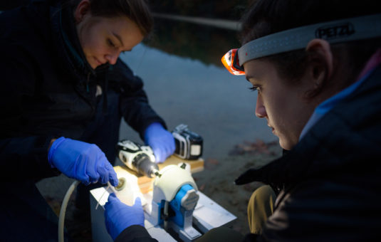 PhD student conducting research at Walden Pond