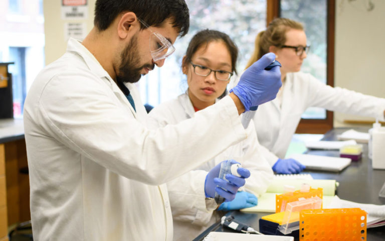 Undergraduate Programs | Department of Biology | Clark University