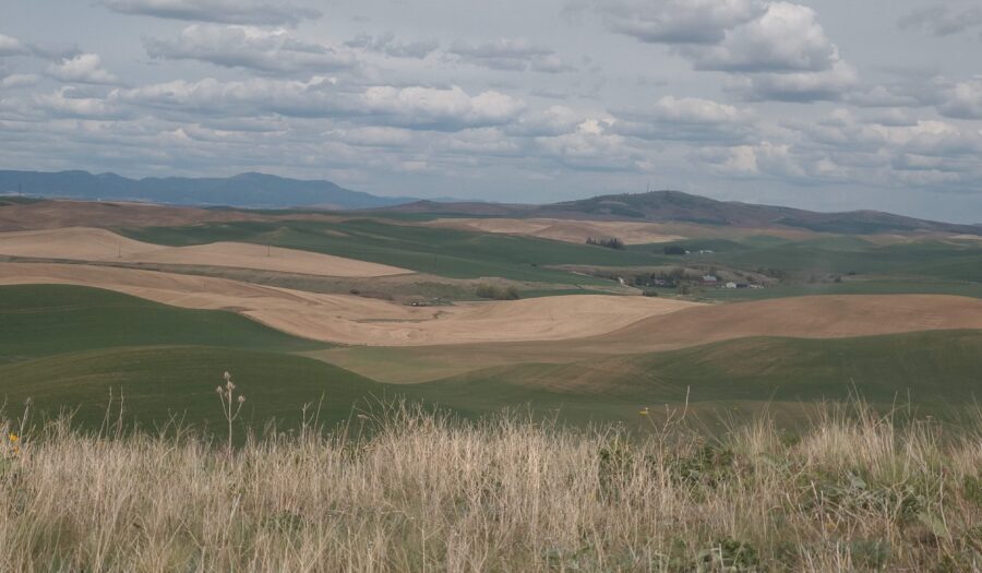 Field sites in Eastern Washington