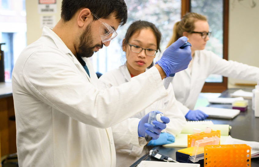 Undergraduate Programs | Department of Chemistry | Clark University