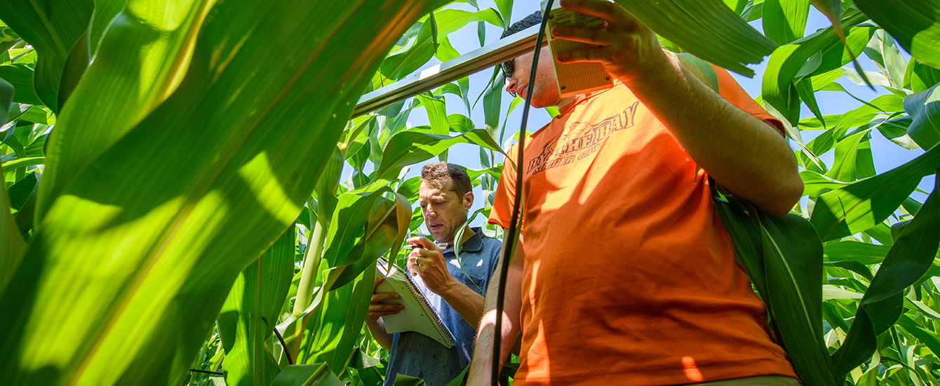 Environmental Science Research Student and professor Lyndon Estes using GIS equipment in cornfield