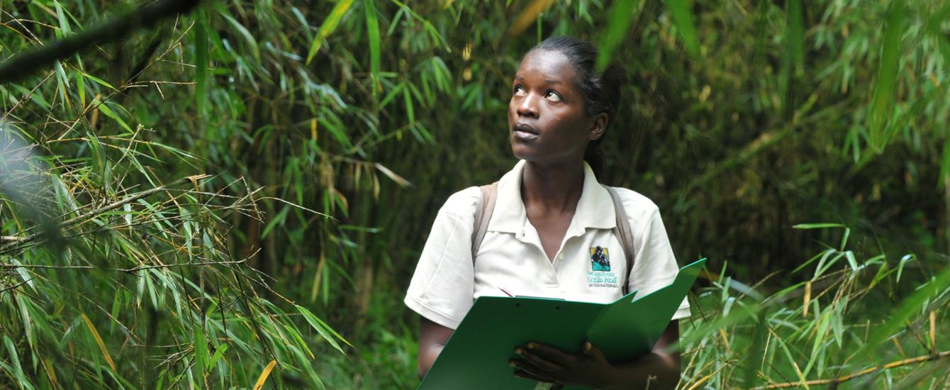 Graduate student conducting research in a forest in Rwanda