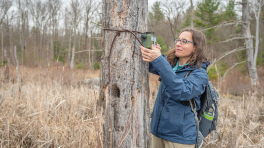 Florencia Sangermano puts audio recorder on tree