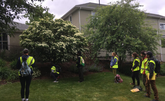 HERO Fellows touring the tree planting area in the Burncoat neighborhood