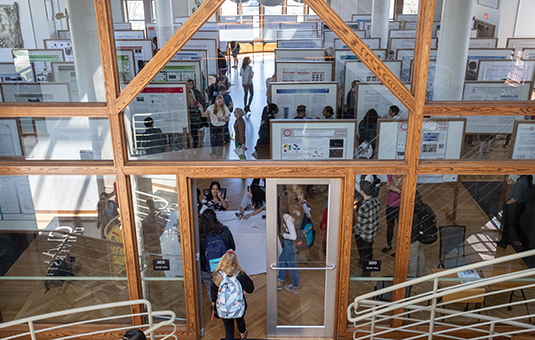 Bird's-eye view of research event, with students viewing posters