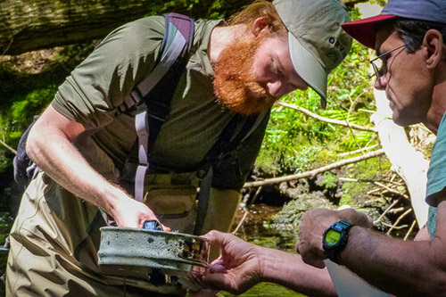 A student and faculty member gather samples in a woodland waterway, Department of Sustainability and Social Justice