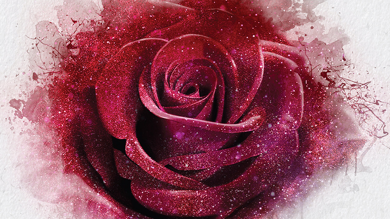 Illustration of red rose