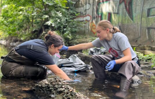 students work to clean up Beaver Brook in Worcester