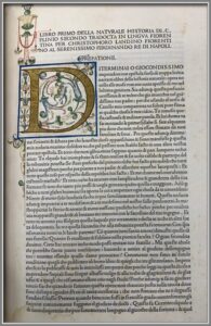 Illuminated_manuscript