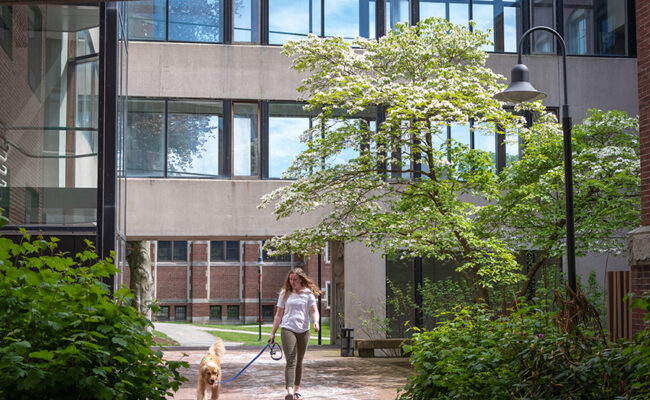 Arthur M. Sackler Sciences Center lady walking dog