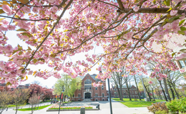 Atwood Hall with spring blossom