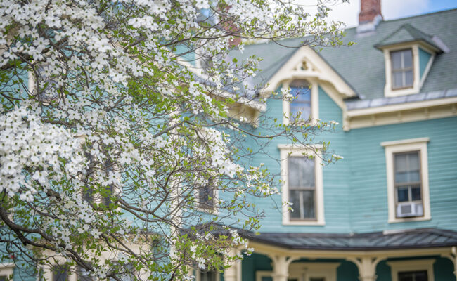 Corner House that houses International House - spring blossoms