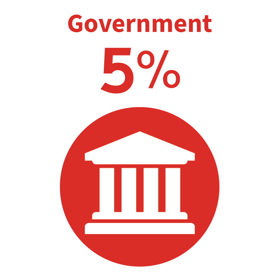 graphic - Government 5%