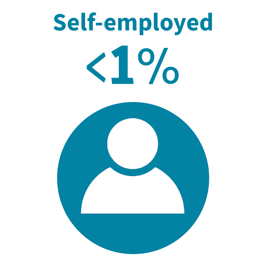 grahic - self-employed 1%