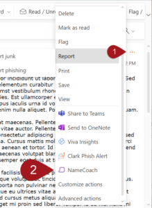 Outlook online, Namecoach plugin