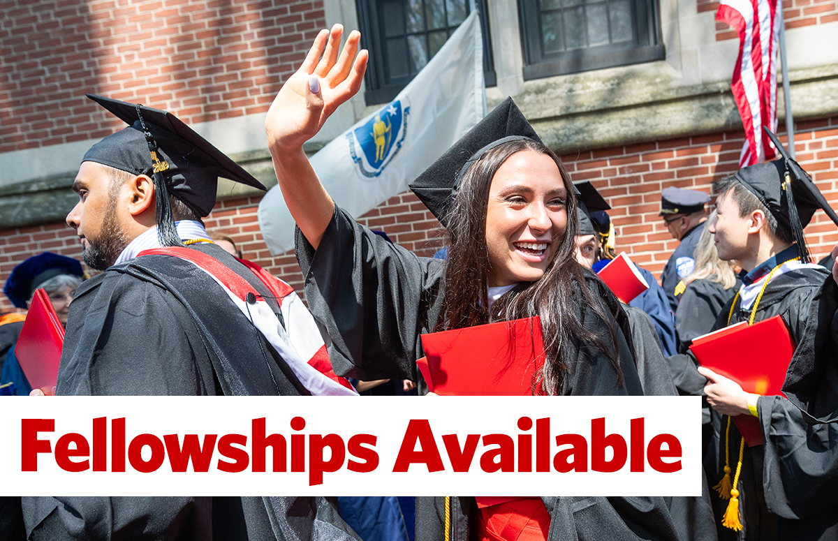 IDCE Fellowships and Scholarships
