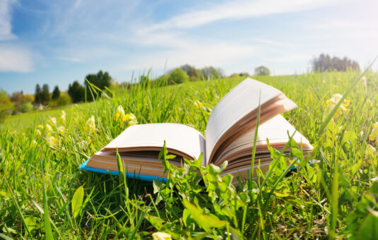 Summer study - Book in a meadow