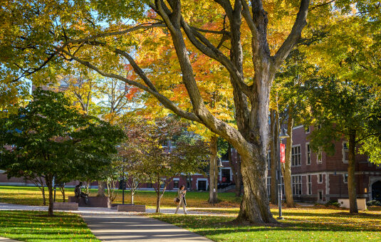 clark university campus green
