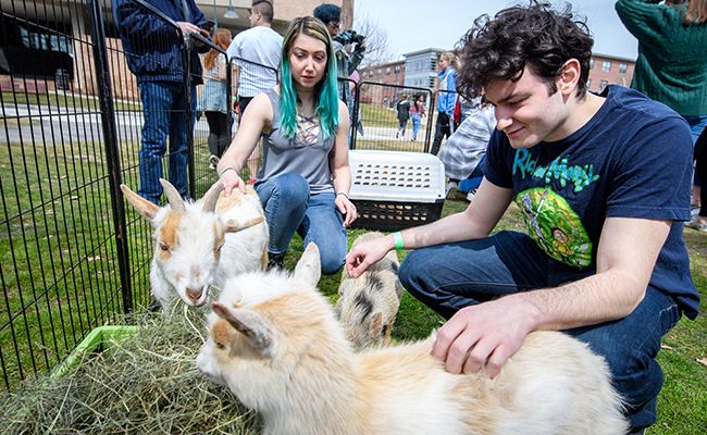 students petting goats in cage