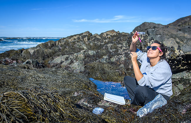 student on rocky beach looking through magnifying glass at snail