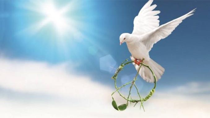 dove carrying peace sign