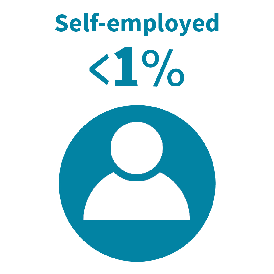 Self employed less then 1%