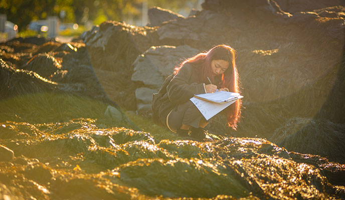 A student in an undergraduate biology class records field data at a marine center in Nahant